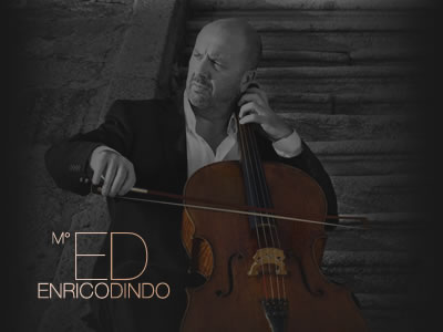 Enrico Dindo - web site